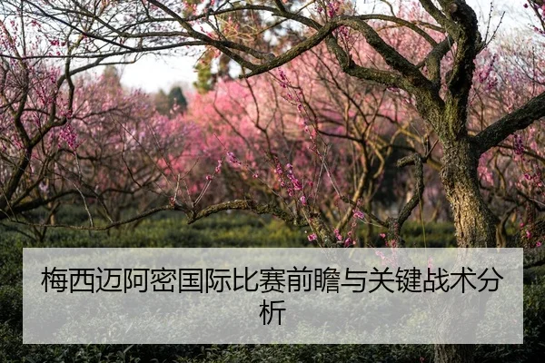 梅西迈阿密国际比赛前瞻与关键战术分析